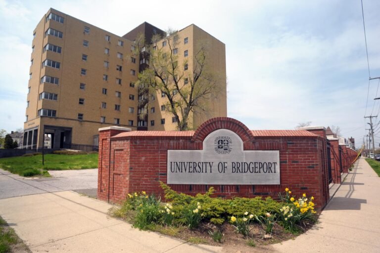 University of Bridgerton 768x512